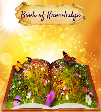 bookofknowledge